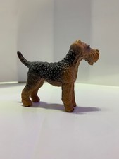 Airedale terrier dog for sale  Sarasota