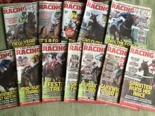 Racing ahead horse for sale  NORTHALLERTON