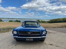 1966 mustang 289 for sale  MANNINGTREE