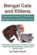 Bengal cats kittens for sale  UK