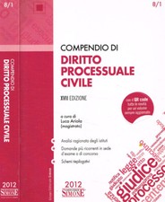 Compendio diritto processuale usato  Italia