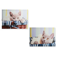 Leinwand bild katze gebraucht kaufen  Wörth