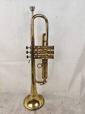 Tromba bemolle 400 usato  Vaiano Cremasco