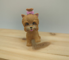 Barbie brown yorkie for sale  Lakewood