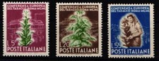 Italien 802 804 gebraucht kaufen  Hürth
