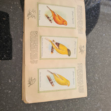Aviary cage birds for sale  BUNTINGFORD