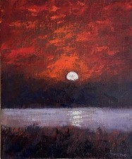 Quadro olio cartone usato  Roma