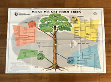 Smokey bear poster for sale  Auburn
