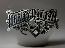 Harley davidson biker for sale  Bellville
