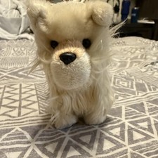 American girl pomeranian for sale  Saint Cloud