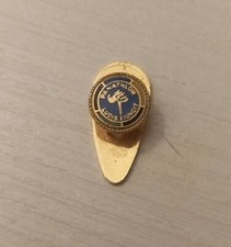 Pins spilla ludis usato  Pasturo