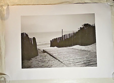 Beach scene dunes for sale  Sparks