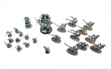 Warhammer aos seraphon gebraucht kaufen  Hamburg