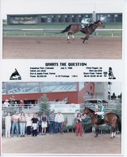 Fiftytwo 8x10 horse for sale  Beaverton