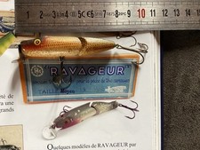 Poisson nageur ravageur d'occasion  Brax