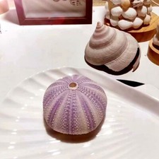 1pc natural purple d'occasion  Expédié en Belgium