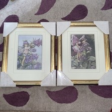 Flower fairies set for sale  ABINGDON