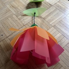 Schöne haba blume gebraucht kaufen  St. Peter