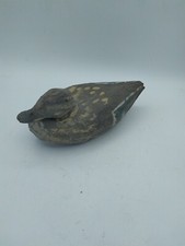 Anatra papera galleggiante usato  Sarzana