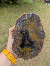 Kentucky agate specimen for sale  Jacksonville