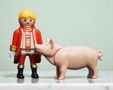 Playmobil figur nikolaus gebraucht kaufen  Frauenstein, Rechenberg-Bienenmühle