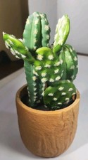 artificial cactus for sale  Trenton