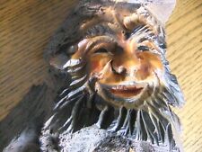 Wurzelgeist wurzelgesicht bers gebraucht kaufen  Ulm