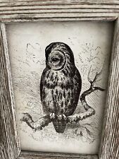 Owl picture frame for sale  FAREHAM