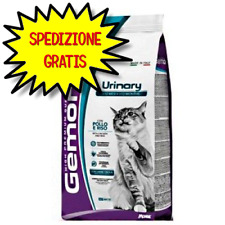 Gemon gatto adulto usato  San Felice Circeo