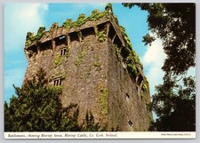 Battlements blarney castle for sale  Owatonna
