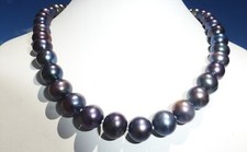 Elegant larger black for sale  Encino