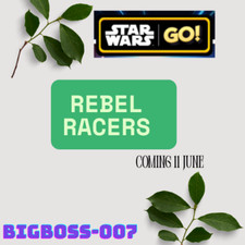 Usado, SLOTS DISPONÍVEIS:- SLOTS DISPONÍVEIS PARA EVENTO REBEL RACERS (EVENTO DE CORRIDA) comprar usado  Enviando para Brazil