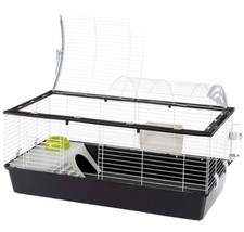 Indoor large rabbit for sale  ABERDEEN