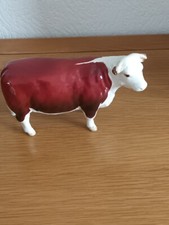 hereford cow for sale hereford cow for sale UTTOXETER