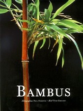 Bambus gebraucht kaufen  Berlin