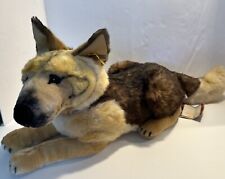 Steiff akc german for sale  Towanda