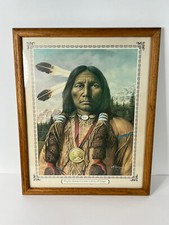 Vintage american indian for sale  Roseville