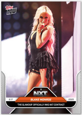 2025 topps wwe for sale  Downers Grove