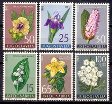 Jugoslavia 1963 fiori usato  Trambileno