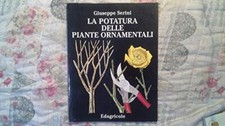 Potatura delle piante usato  Roma