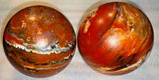 Two brunswick duck for sale  New York