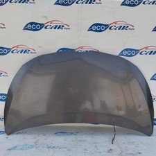 Cofano anteriore grigio usato  Acerra