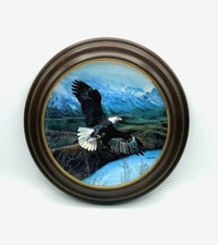 Collectors plate freedom for sale  Tyrone