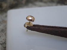 Typischer single herrenohrstec gebraucht kaufen  Aalen