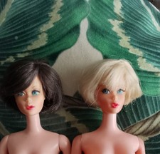 Barbie hair fair d'occasion  Sainte-Geneviève-des-Bois