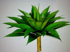 Artificial agave plant for sale  Lincoln