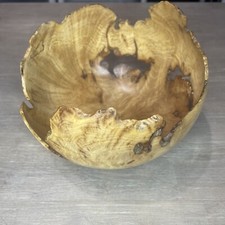 Sugar maple burl for sale  Bradford