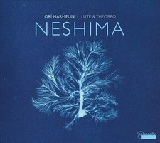Neshima lute theorbo usato  Spedire a Italy