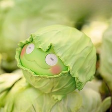 Animal Planet Dodowo fruta fada vegetal selvagem sapo figura fofa colecionável, usado comprar usado Animal Planet Dodowo fruta fada vegetal selvagem sapo figura fofa colecionável, usado comprar usado  Enviando para Brazil