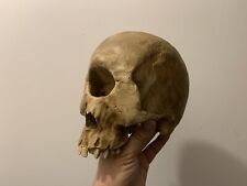 Oddities cabinet curiosités d'occasion  Aiglun